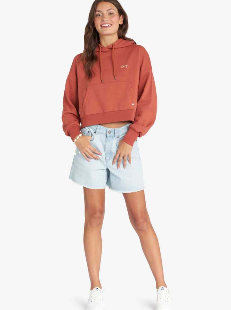 Roxy Afternoon Hike Pullover Hoodie Baked Clay | CJHUM-4967