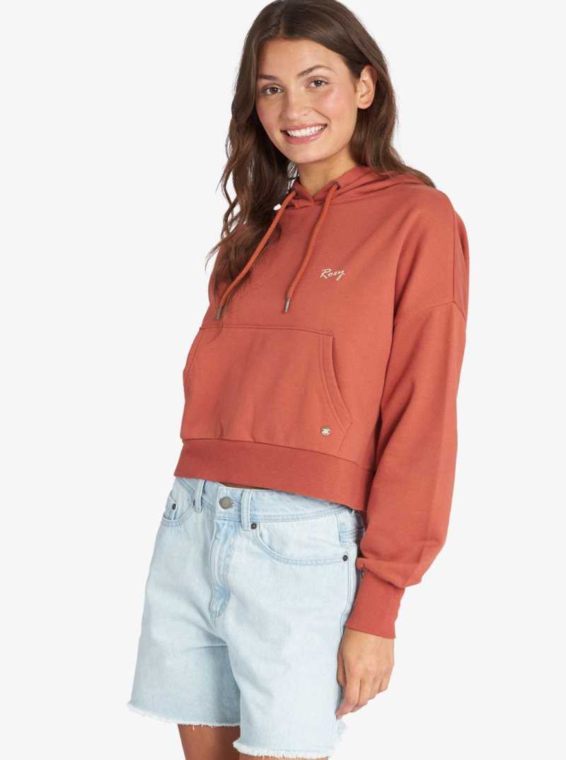 Roxy Afternoon Hike Pullover Hoodie Baked Clay | CJHUM-4967