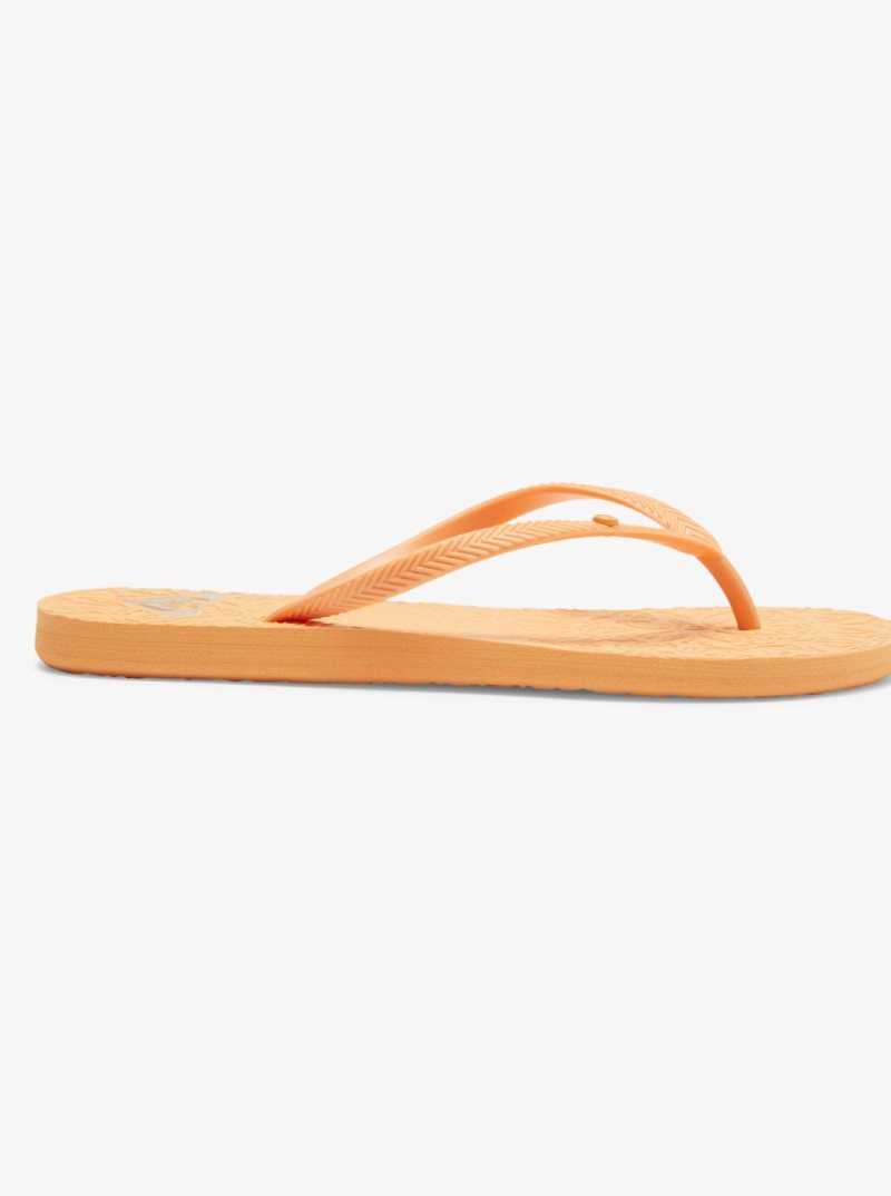 Roxy Antilles Sandals Orange Peel | RXATB-1028