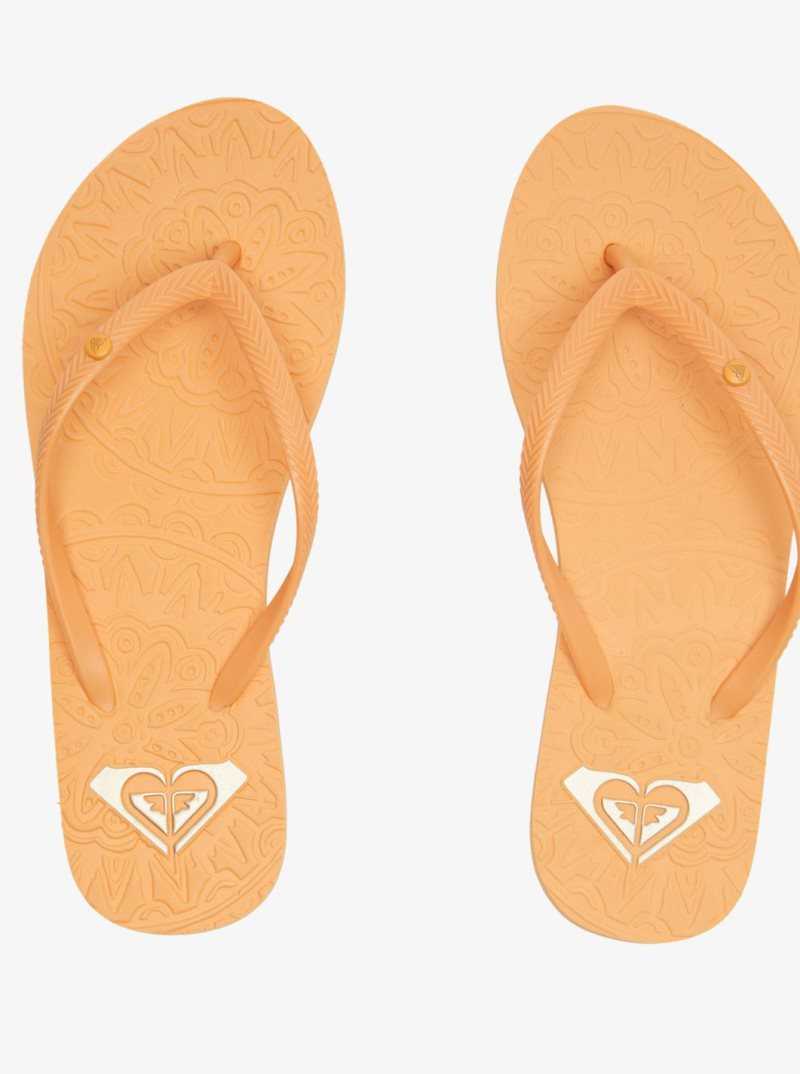 Roxy Antilles Sandals Orange Peel | RXATB-1028