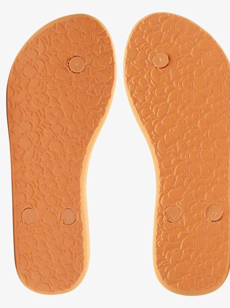 Roxy Antilles Sandals Orange Peel | RXATB-1028