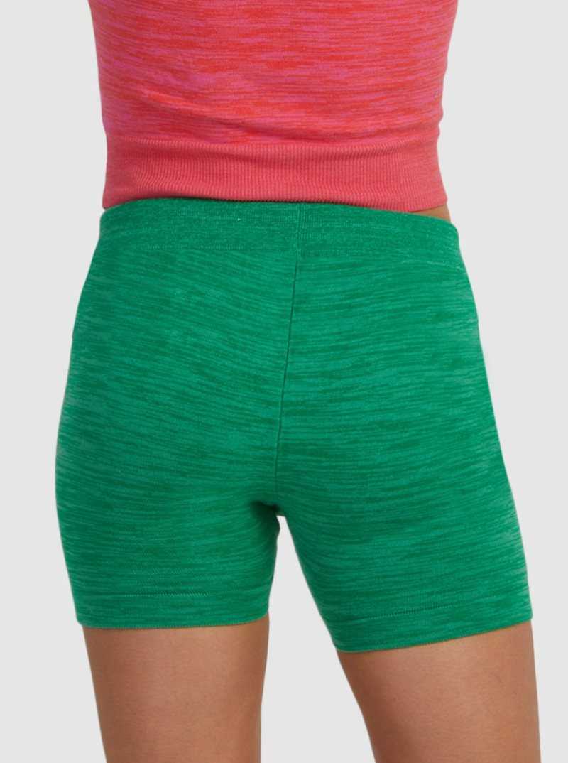 Roxy Bold As Love Bike Shorts Green Dream | RUETX-1478