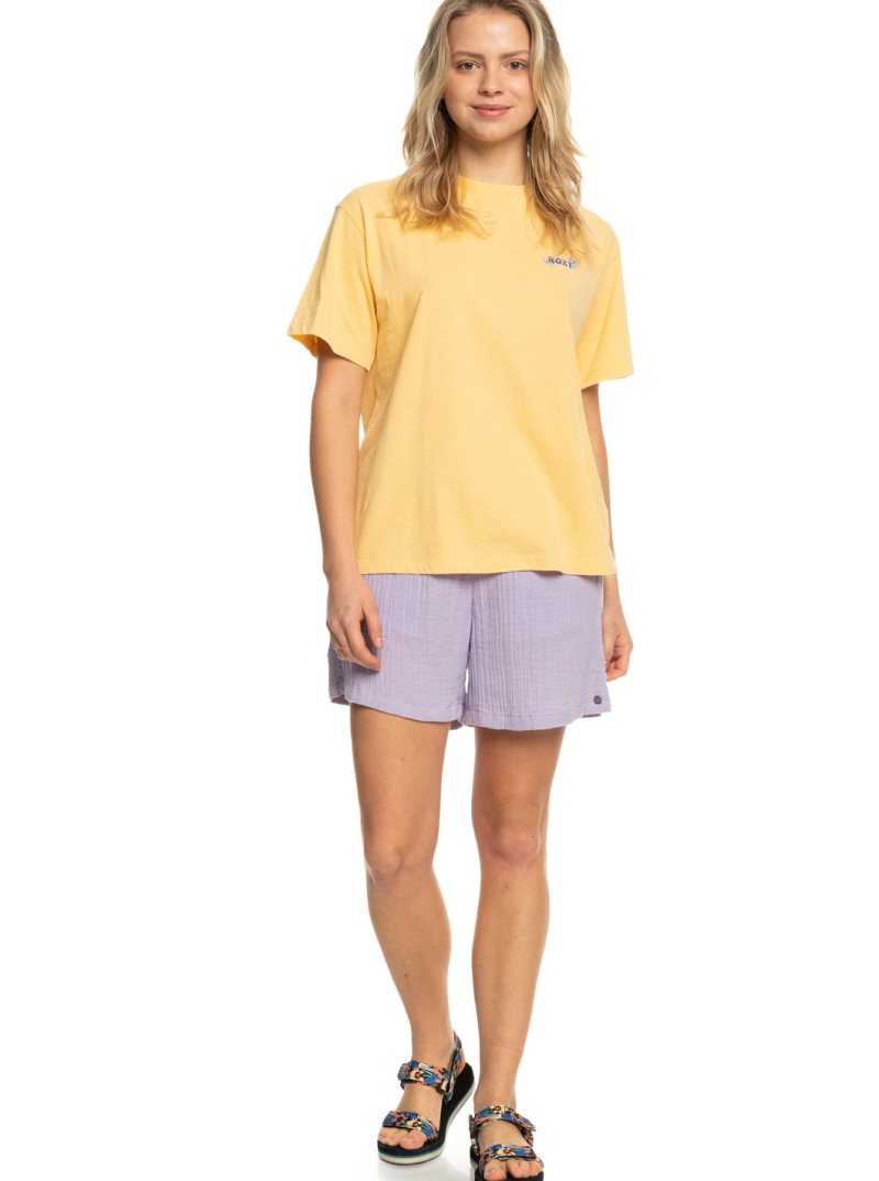 Roxy Moonlight Sunset Oversized Boyfriend T-Shirt Flax | YMUVB-8693