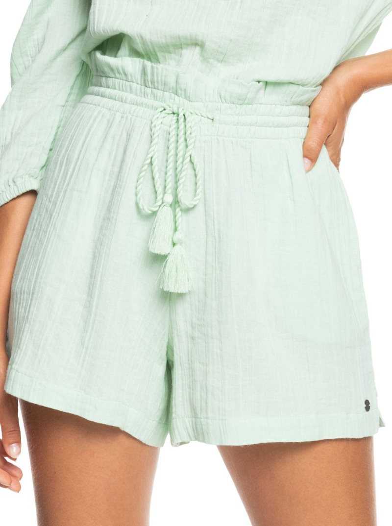 Roxy Pop Sun Elasticized Shorts Pastel Green | PYMQR-0236