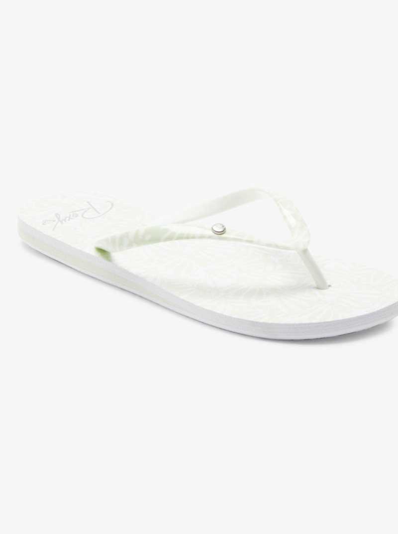 Roxy Portofino Flip-Flops Lt Sage | UHXPT-0397