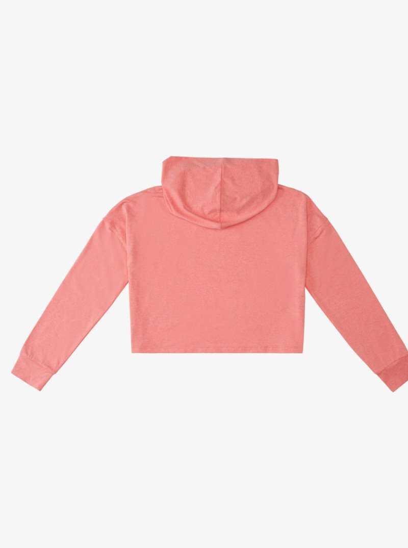 Roxy Sun Might Shine Long Sleeve Hooded T-Shirt Strawberry Pink Heather | UGOZM-5310