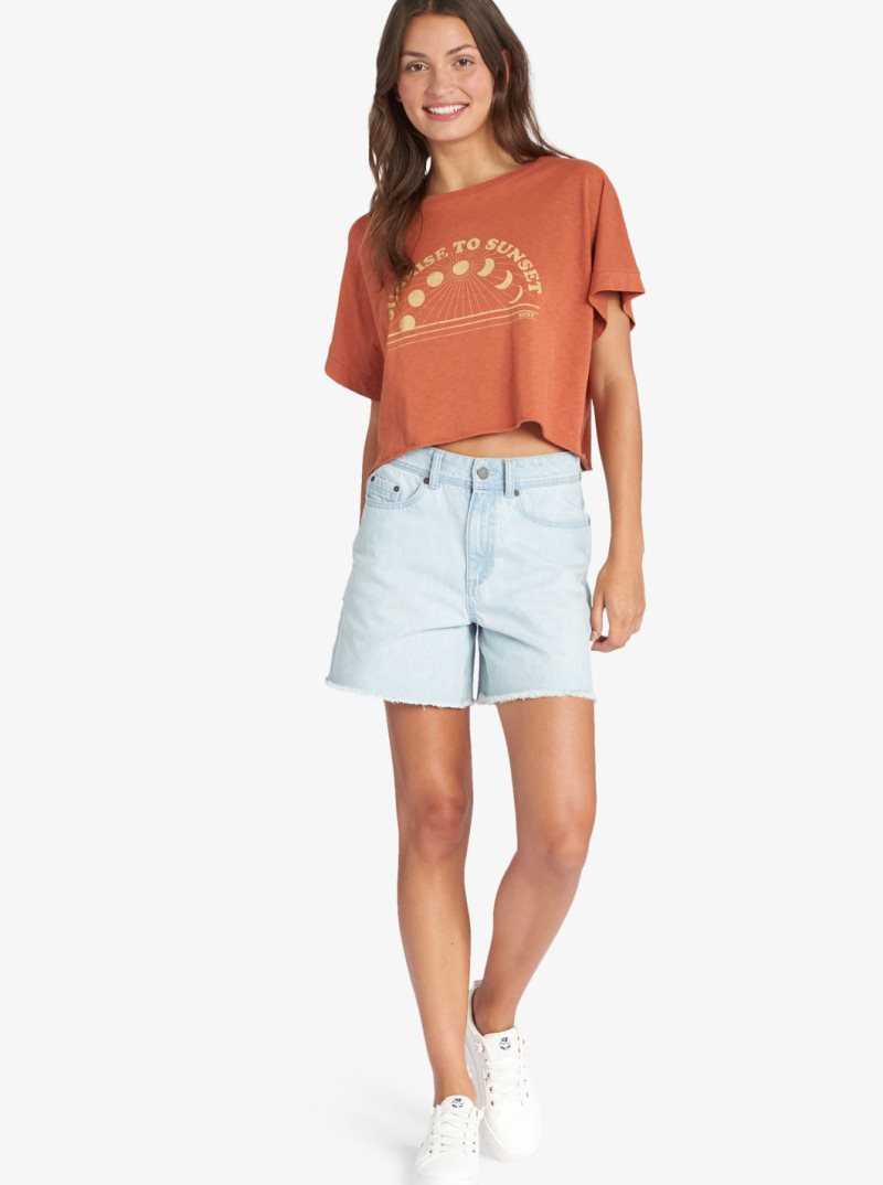 Roxy Sunrise To Sunset Drop Shoulder T-Shirt Baked Clay | HOMFW-6049